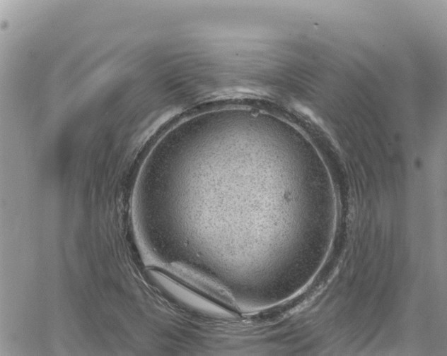 X0000065261313200602211240