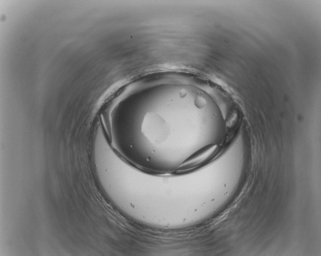 X0000065261314200602211240