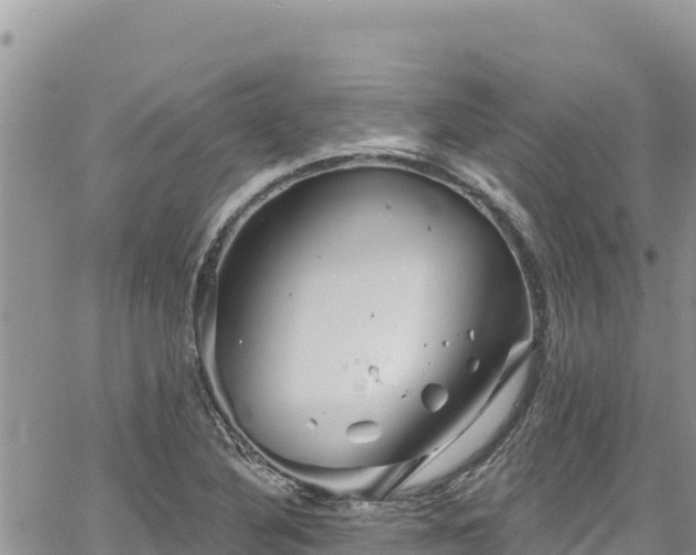 X0000065261316200602211240