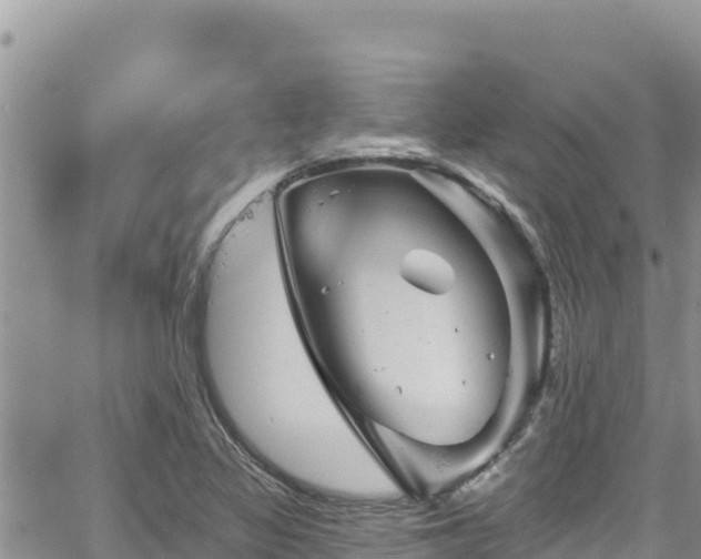 X0000065261317200602211240