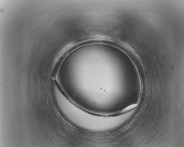 X0000065261318200602211240