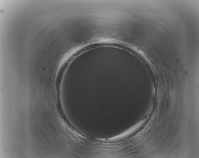 X0000065261319200602211240