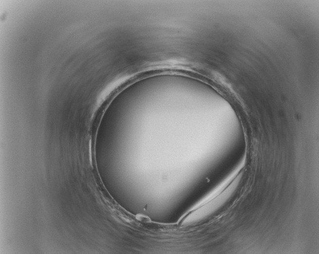 X0000065261320200602211240