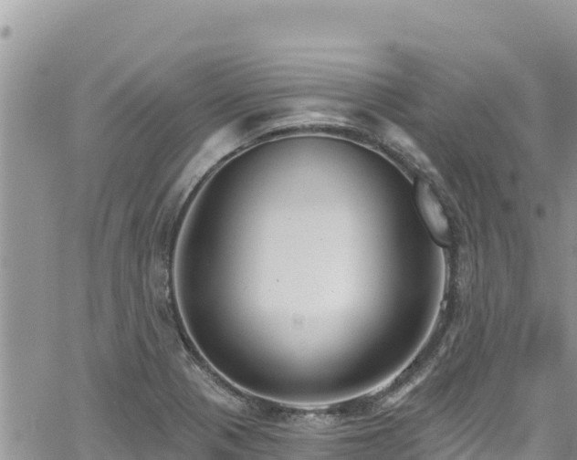 X0000065261321200602211240