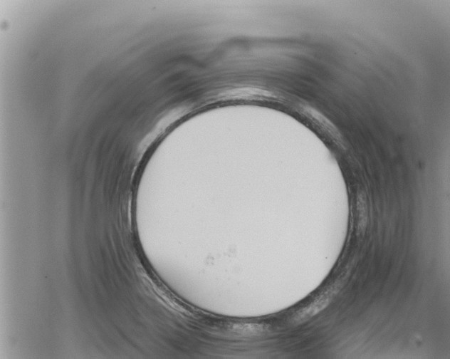 X0000065261322200602211240