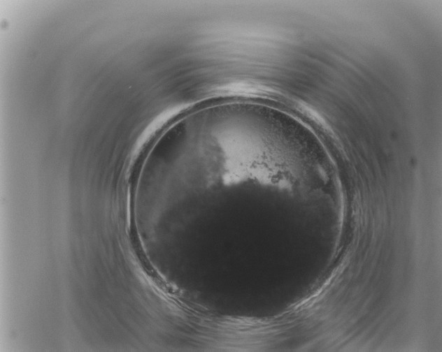 X0000065261323200602211240