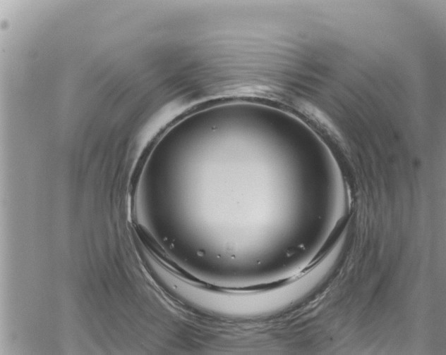 X0000065261324200602211240