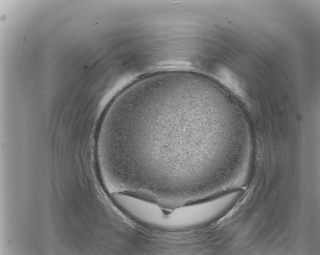 X0000065261325200602211240