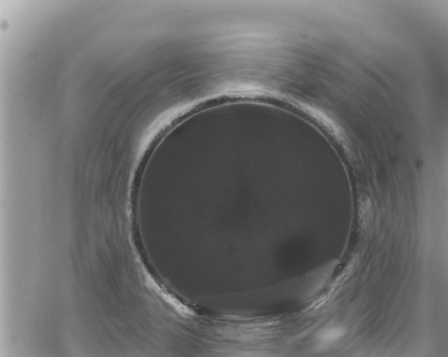 X0000065261327200602211240