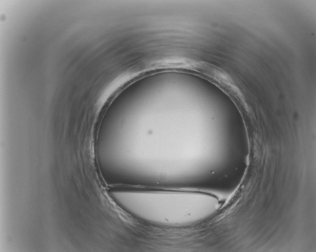 X0000065261328200602211240