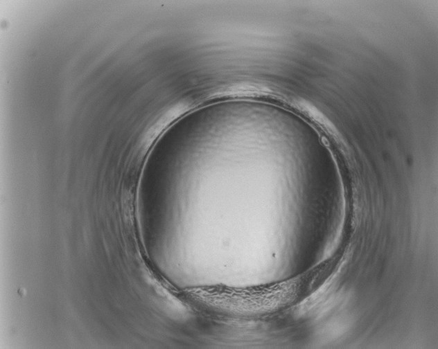 X0000065261329200602211240