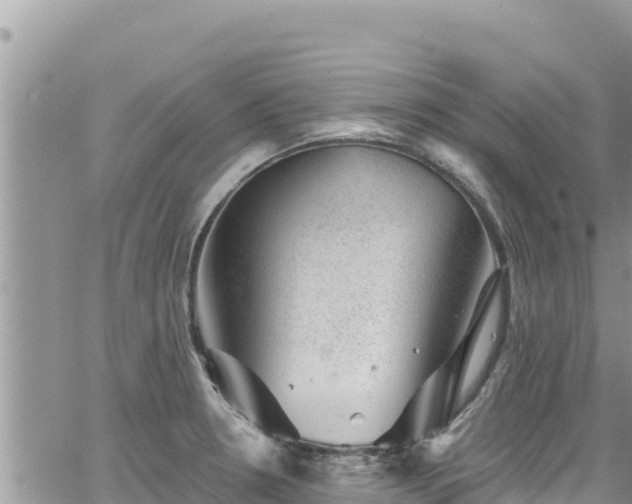 X0000065261330200602211240