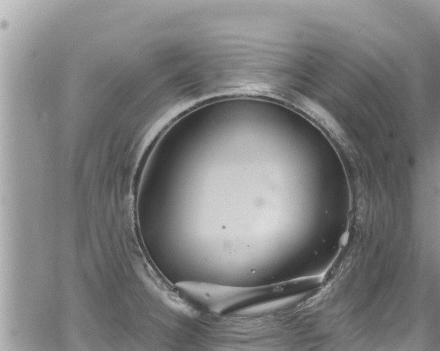 X0000065261332200602211240