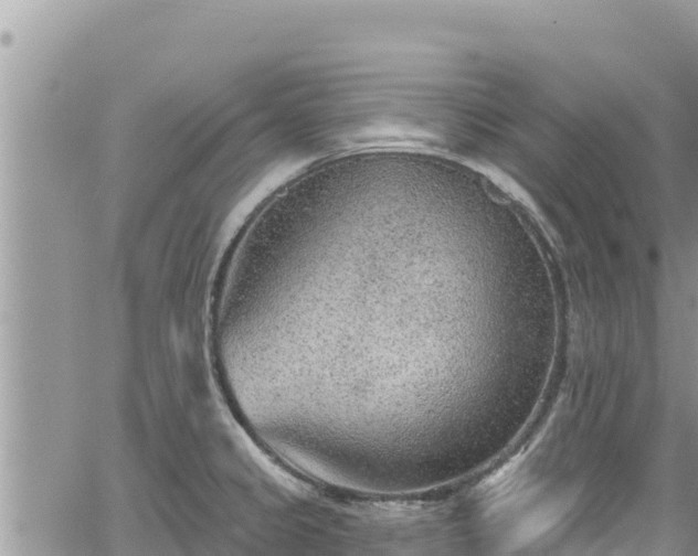 X0000065261333200602211240