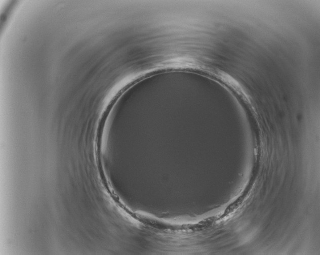 X0000065261334200602211240