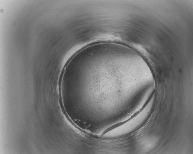 X0000065261335200602211240