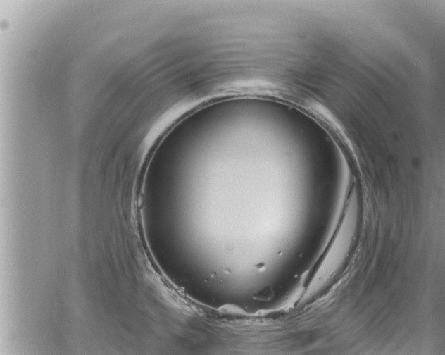 X0000065261336200602211240