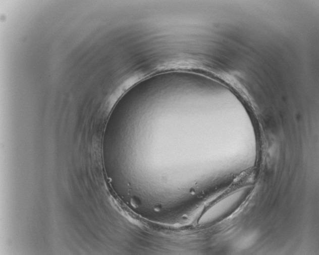 X0000065261337200602211240