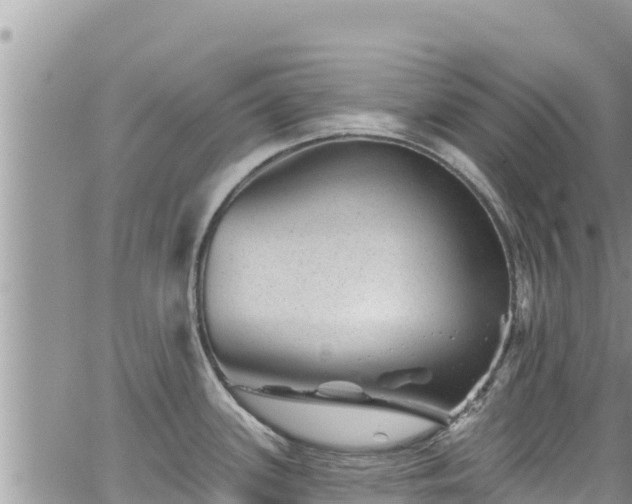 X0000065261339200602211240