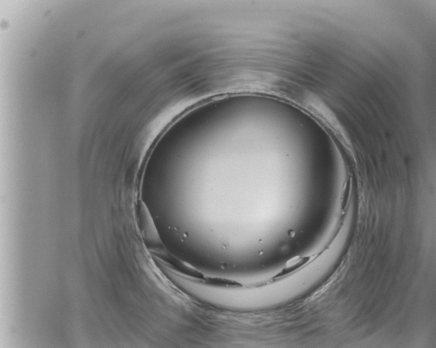 X0000065261340200602211240