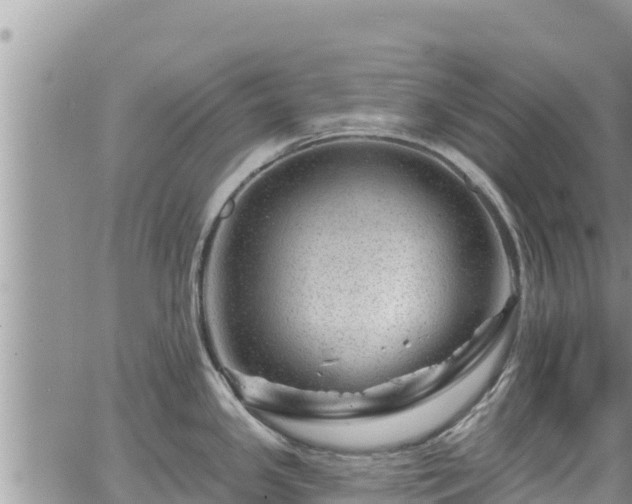 X0000065261341200602211240