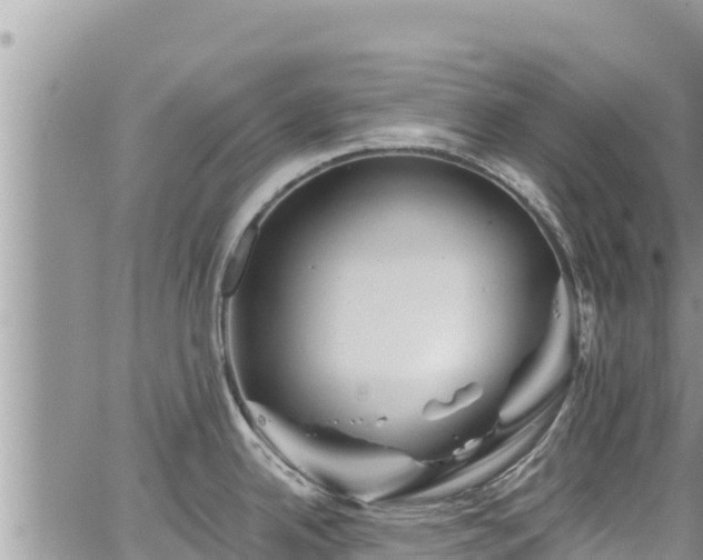 X0000065261342200602211240