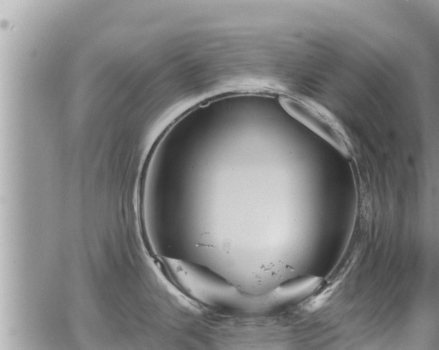 X0000065261343200602211240