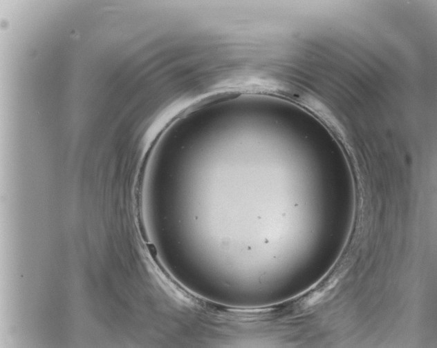 X0000065261344200602211240