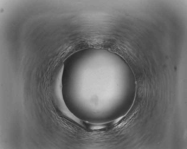 X0000065261345200602211239