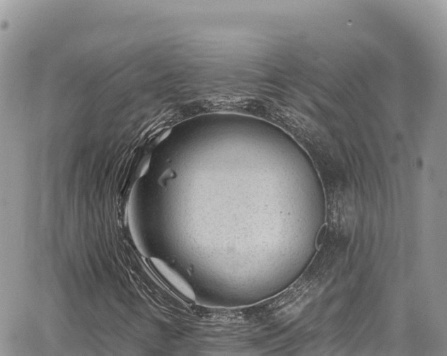 X0000065261346200602211239