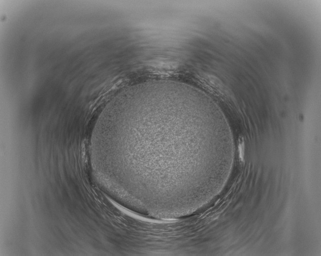 X0000065261347200602211239