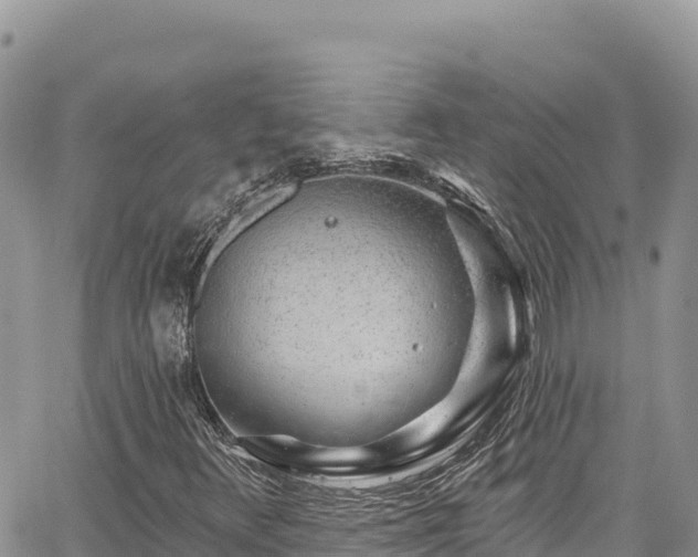 X0000065261348200602211239