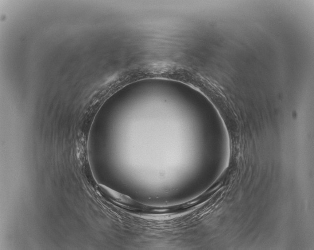 X0000065261349200602211239