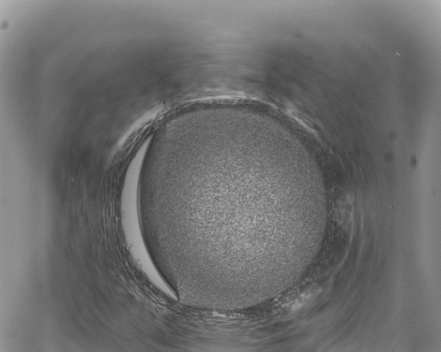 X0000065261351200602211239