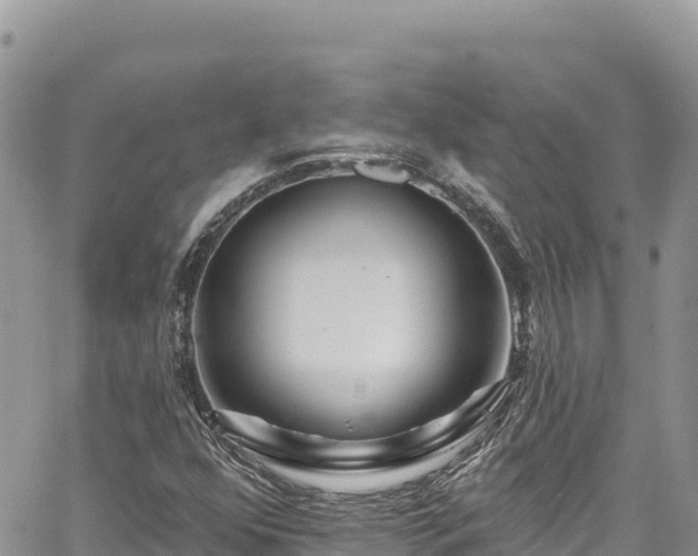 X0000065261352200602211239