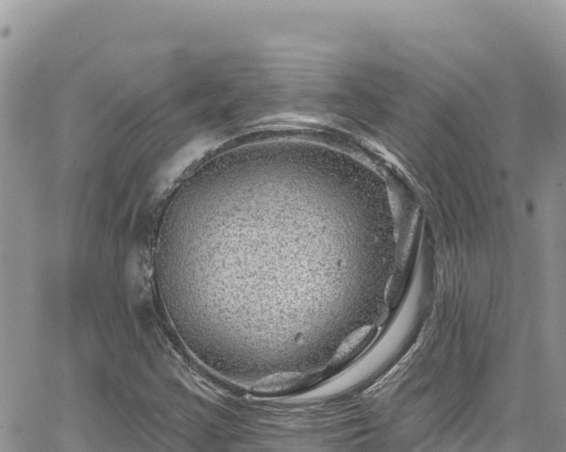 X0000065261355200602211239