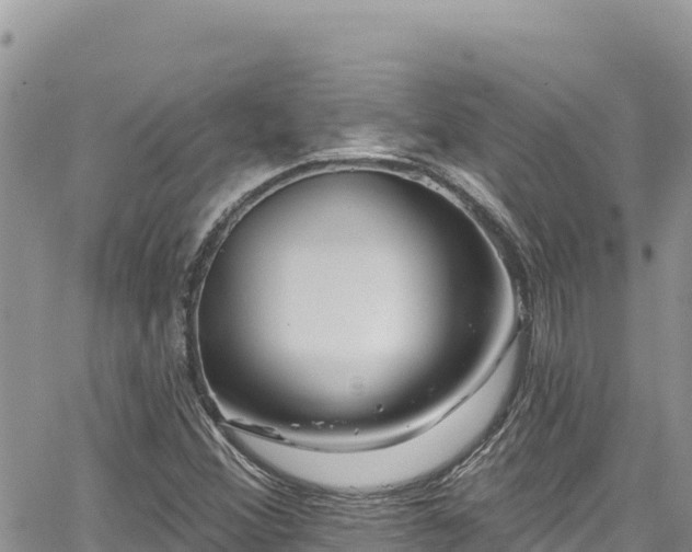 X0000065261356200602211239