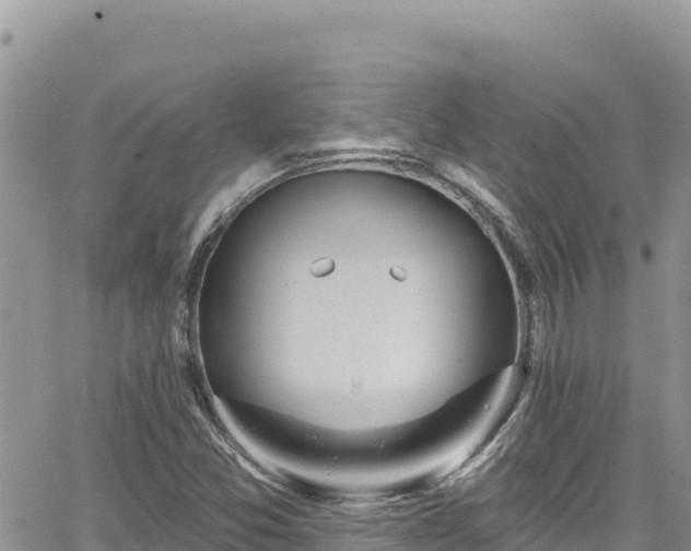 X0000065261357200602211239