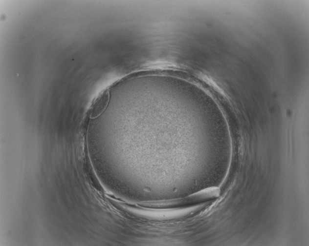 X0000065261358200602211239