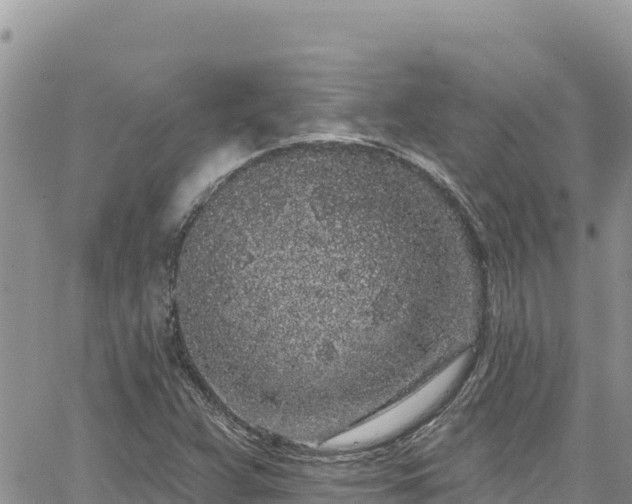 X0000065261359200602211239