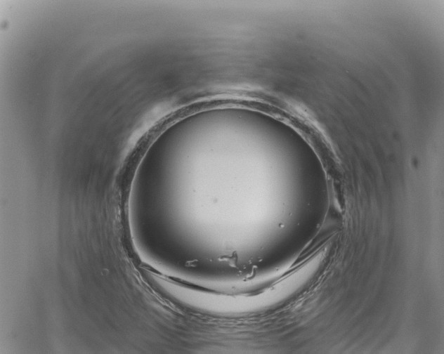 X0000065261360200602211239