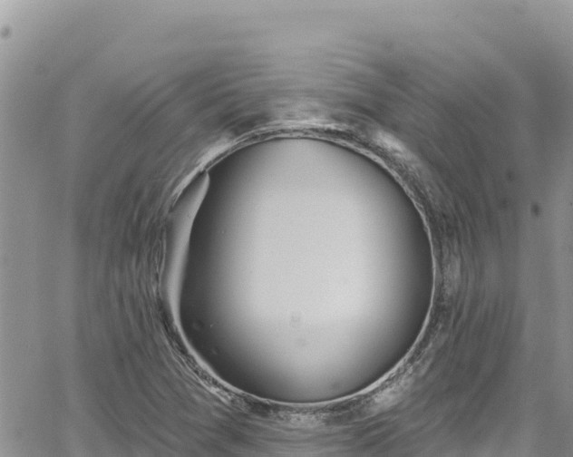 X0000065261361200602211239