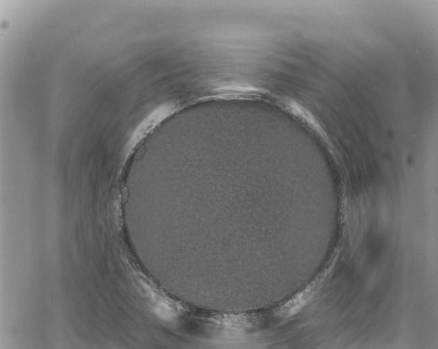 X0000065261362200602211239