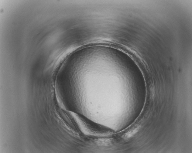 X0000065261363200602211239