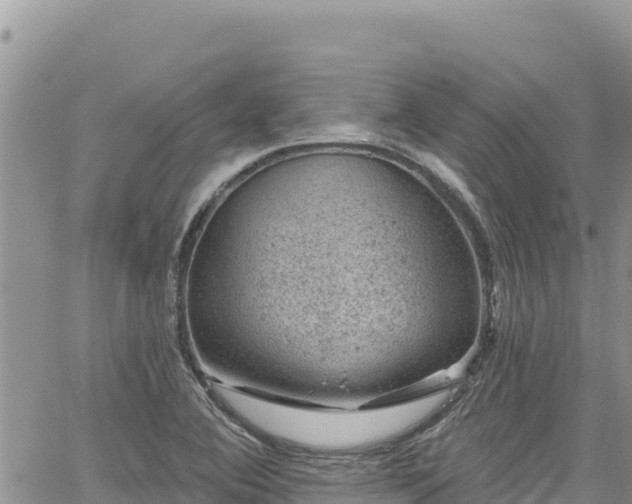 X0000065261364200602211239