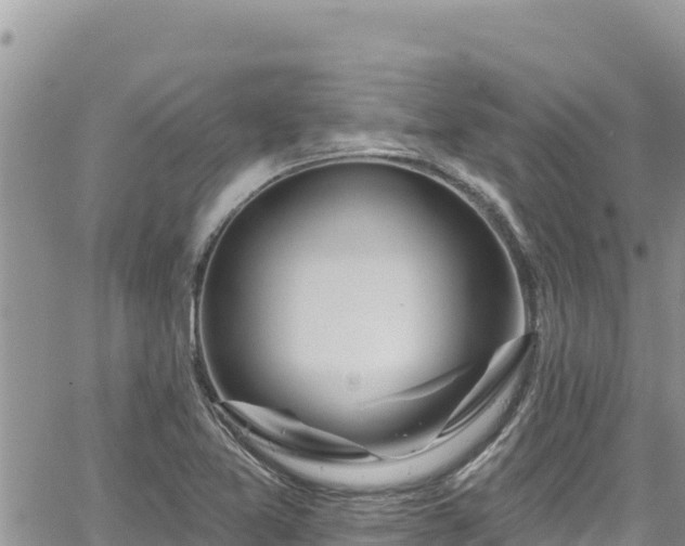 X0000065261365200602211239