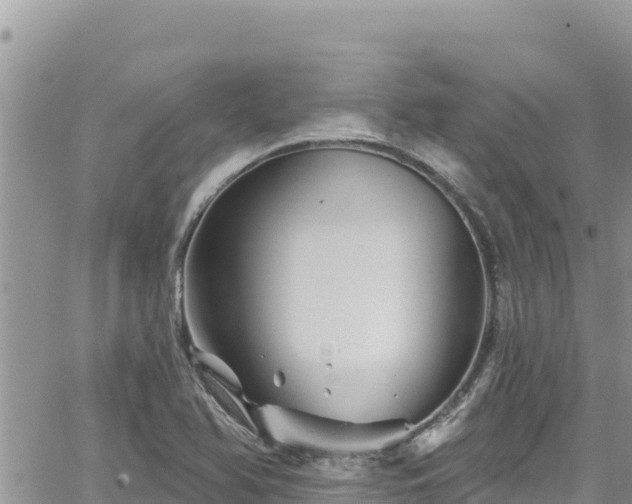 X0000065261366200602211239