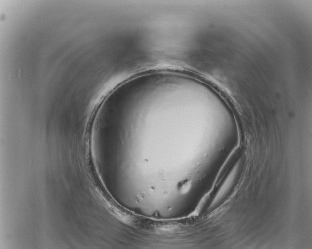 X0000065261367200602211239