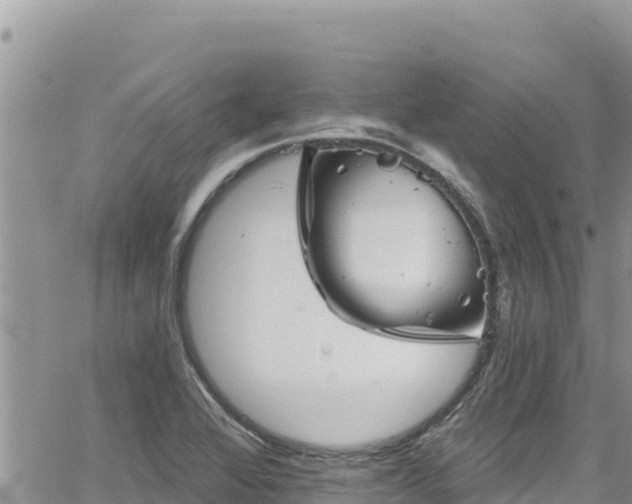 X0000065261368200602211239