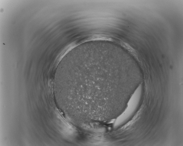 X0000065261369200602211239